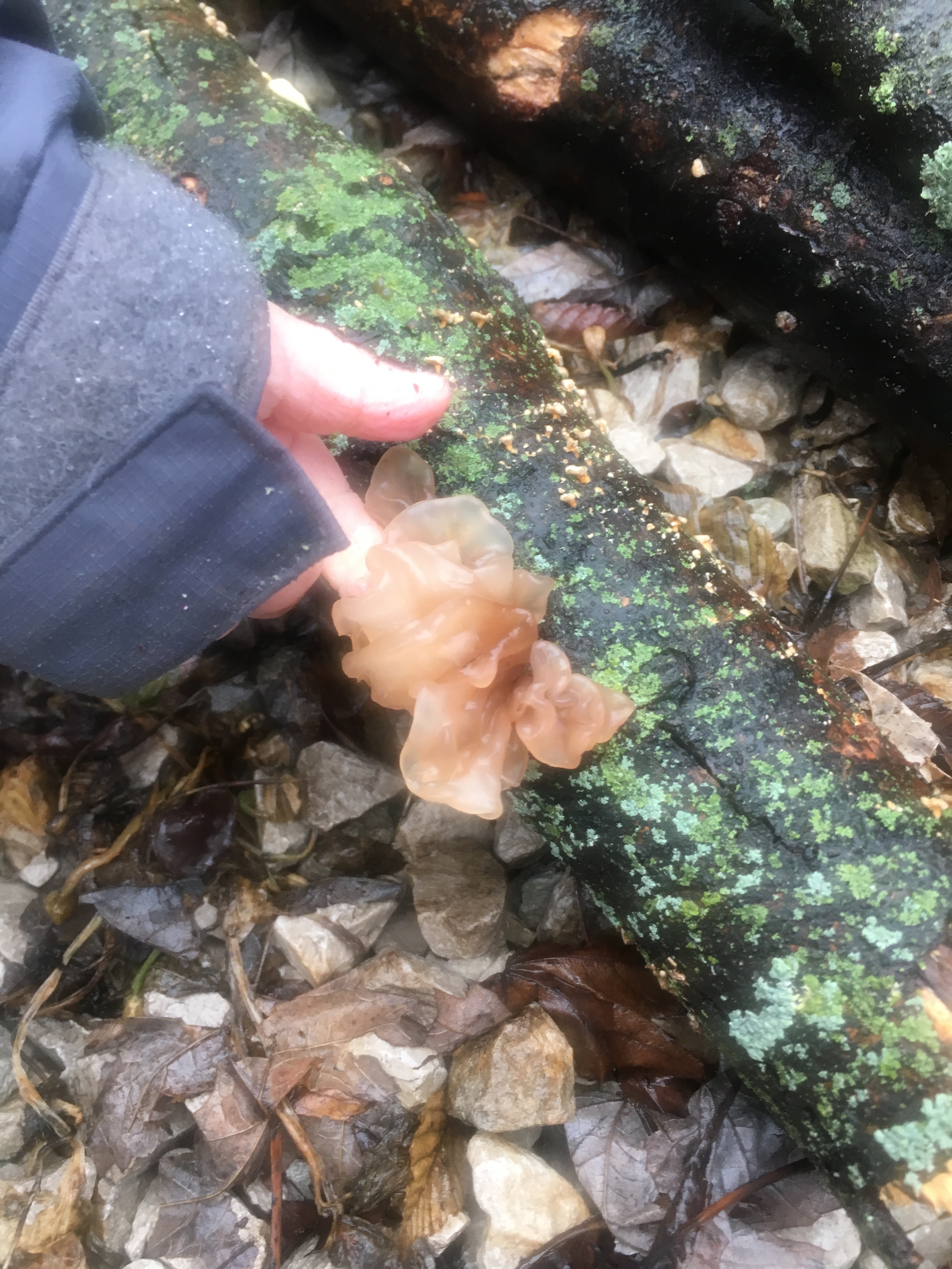 C401A406-9933-47FB-8124-C8D9FBA62FB7