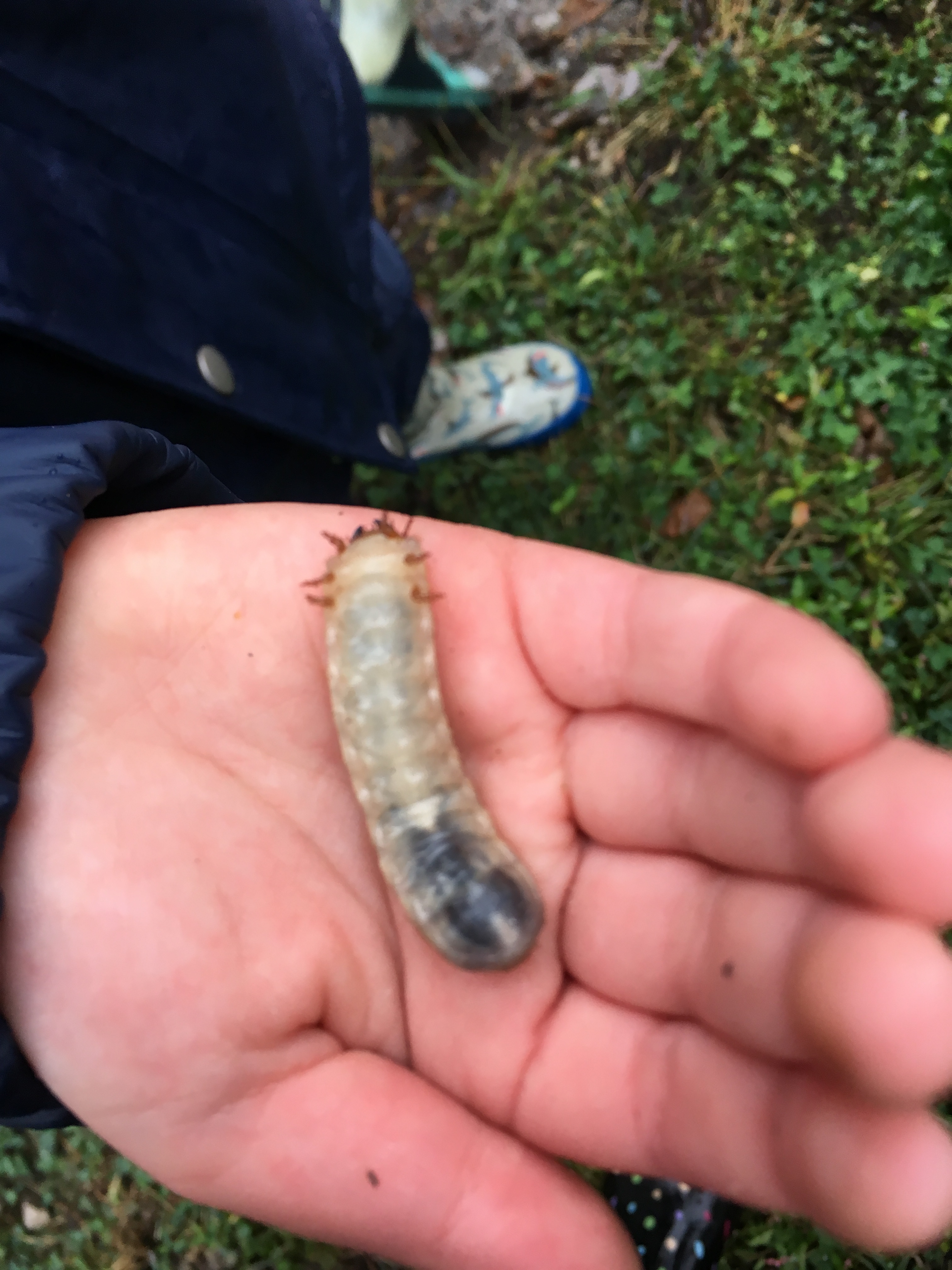 F932AD09-6D24-431F-8826-CC9EAEE20C14